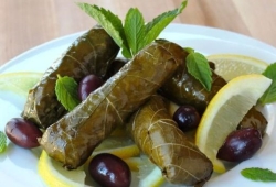 images/dolma 2.jpg